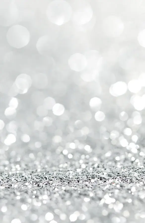 sparkling-silver-gallery-7
