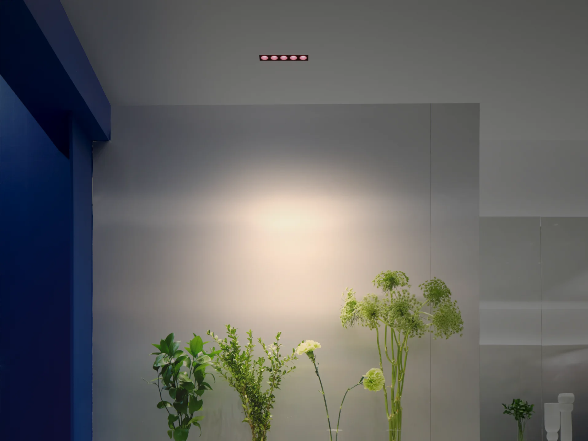 Patented Wallwash Technology