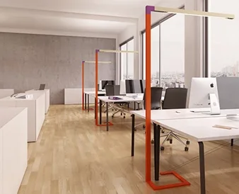 BEST IN OFFICE