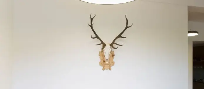 prolicht_super_sign_tischlerei_decker_tirol_2015